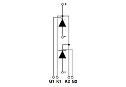 Diagrama de circuito de los módulos tiristores
